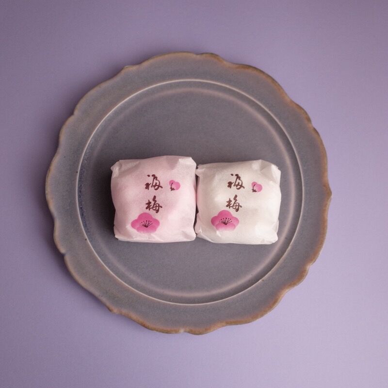 杉原万理江／SUGIHARA Marie「稜花六寸平皿」 | オトメの金沢 陳列室