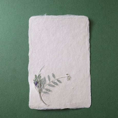 ののわし／Nonowashi「ワンポイント桜貝／草花はがき」
