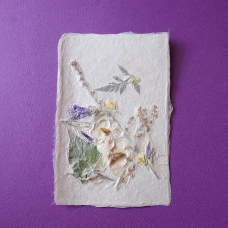 ののわし／Nonowashi「草花はがき」