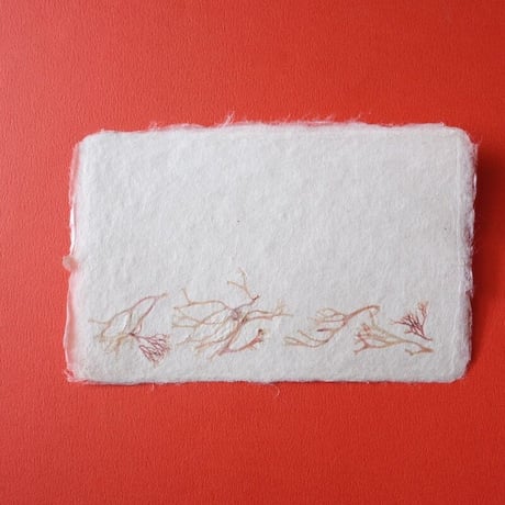 ののわし／Nonowashi「ワンポイント海藻はがき」
