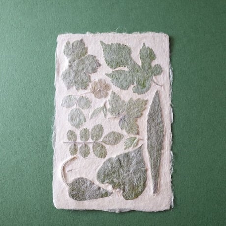 ののわし／Nonowashi「葉っぱはがき」