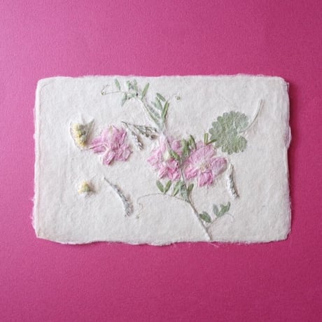 ののわし／Nonowashi「草花はがき」