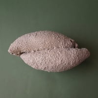 中嶋寿子／NAKAJIMA Toshiko「回想」