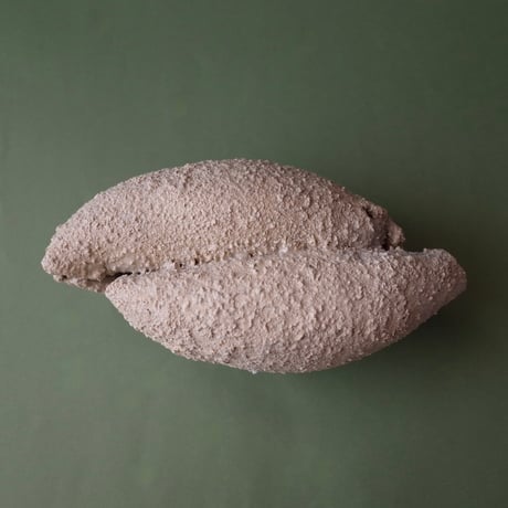 CATEGORY 中嶋寿子／NAKAJIMA Toshiko | オトメの金沢 陳列室