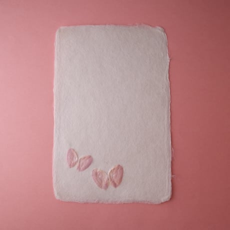 ののわし／Nonowashi「ワンポイント桜貝／草花はがき」