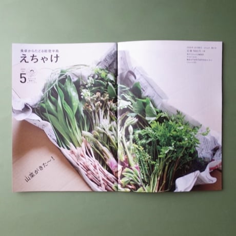 えちゃけ／Echake『えちゃけ』4冊セット＋能登ステッカー（ポスト便）