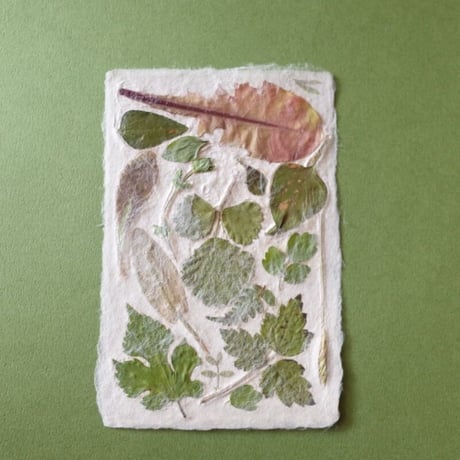 ののわし／Nonowashi「葉っぱはがき」