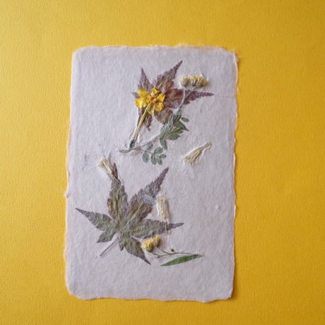ののわし／Nonowashi「草花はがき」