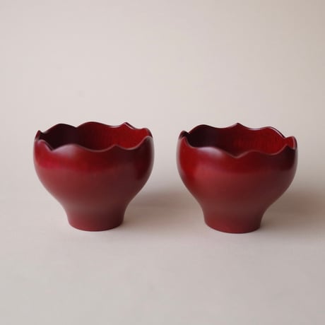 CATEGORY 奥の麻衣子／OKUNO Maiko | オトメの金沢 陳列室