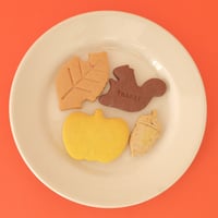 ハグミトンワークス／HUG mitten works「オータムクッキー」