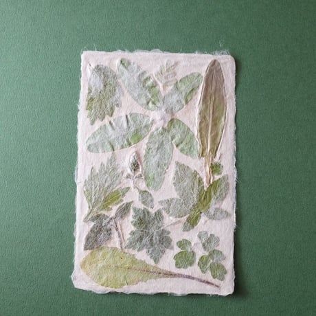 ののわし／Nonowashi「葉っぱはがき」
