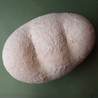 中嶋寿子／NAKAJIMA Toshiko「星々（大）」