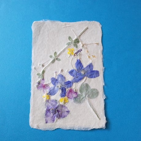 ののわし／Nonowashi「草花はがき」