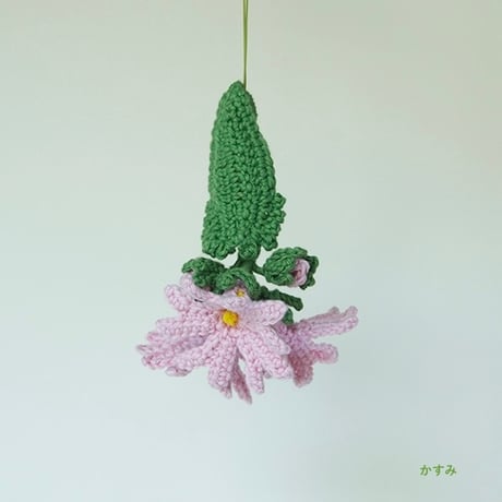 ChomoChomo「Alpine 花あみキット ハクサンコザクラ」