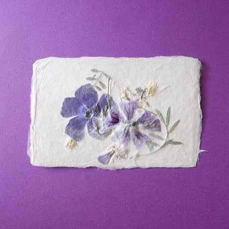ののわし／Nonowashi「草花はがき」