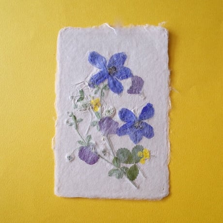 ののわし／Nonowashi「草花はがき」