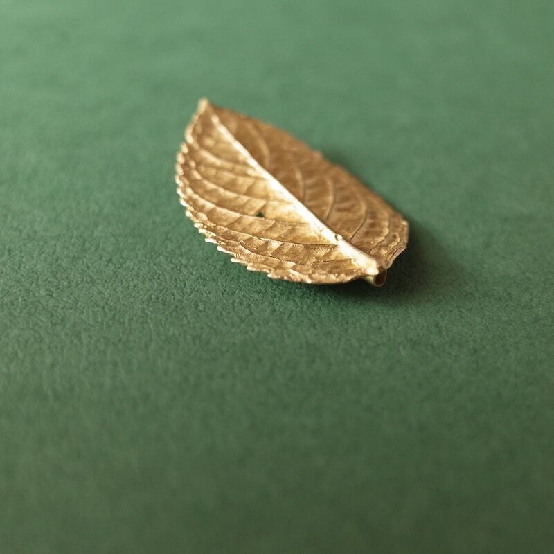 今城晶子／IMAJO Akiko「PLANTSブローチ各種」 | オトメの金沢 陳列室