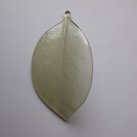 田 聡美／DEN Satomi「椿／金蓮葉」