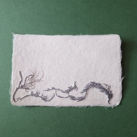 ののわし／Nonowashi「ワンポイント海藻はがき」