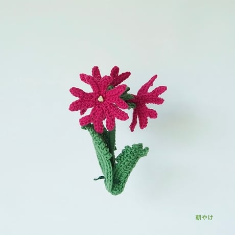 ChomoChomo「Alpine 花あみキット ハクサンコザクラ」