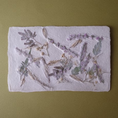 ののわし／Nonowashi「草花はがき」