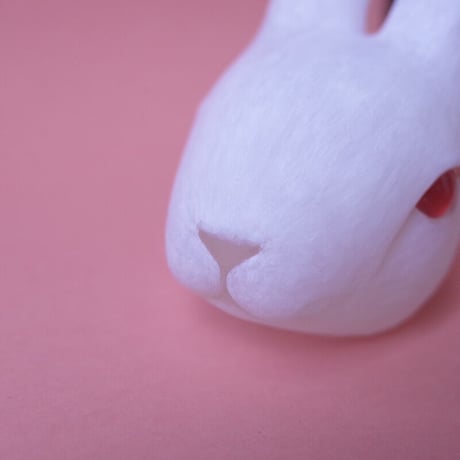 静観朋恵／SHIZUMI Tomoe「うさぎのそとみ」