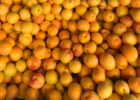 彩：IRODORI SAISON Apricot  350ml缶製品