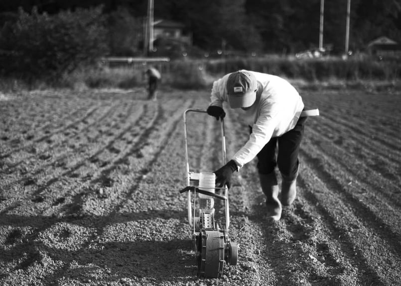 IRODORIセゾン Wit 350ml缶製品 | 麦雑穀工房マイクロブルワリー ONLIN