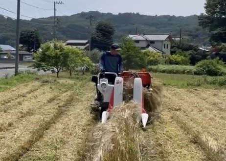 ローカルグレイン3種6本セット