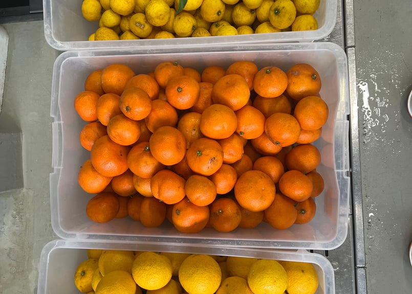 2月のおすすめ缶ビール6本セット | 麦雑穀工房マイクロブルワリー