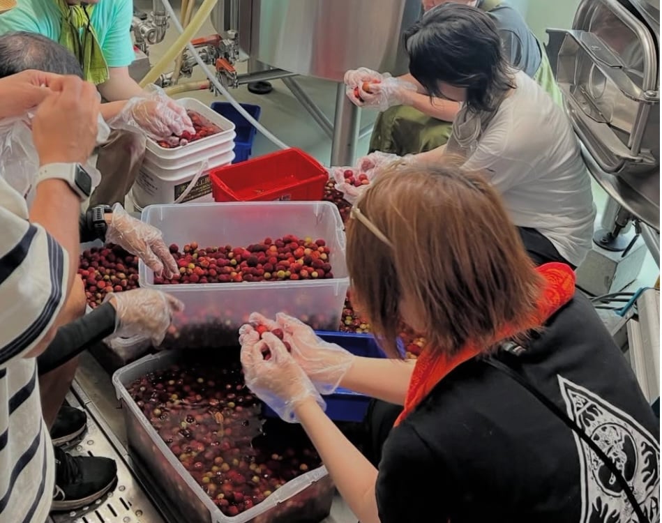 momoさん専用　小倉山 150g 1缶　２月賞味期限 momoさん専用 小倉山 150g 1缶 2月賞味期限