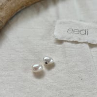 aediイディー byGBLUE 2way淡水パールキャッチ