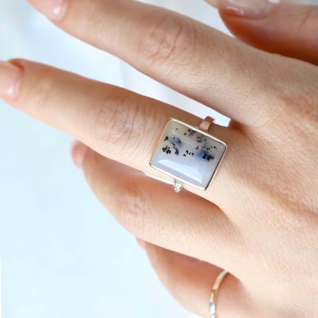 Picture Agate Ring #14