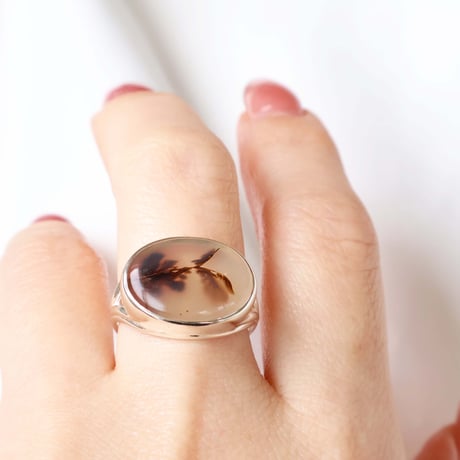 Picture Agate Ring #12