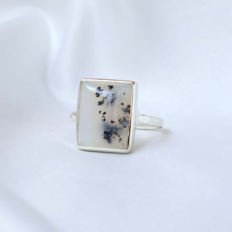 Picture Agate Ring #14