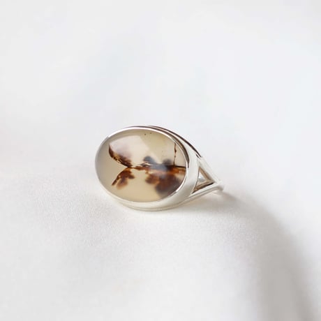 Picture Agate Ring #12