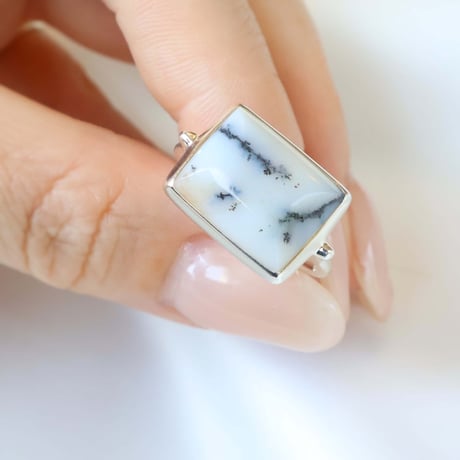 Picture Agate Ring #16