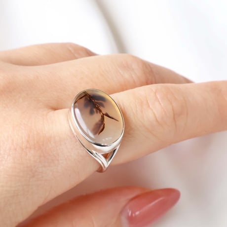 Picture Agate Ring #12