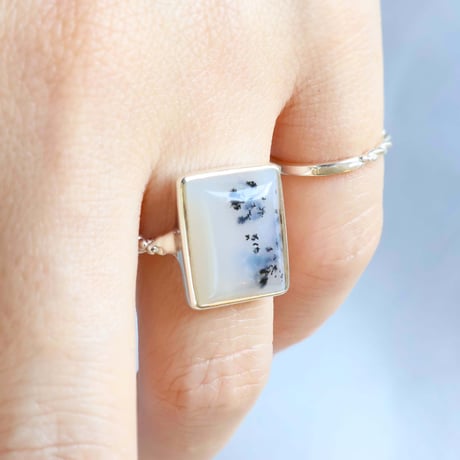 Picture Agate Ring #14