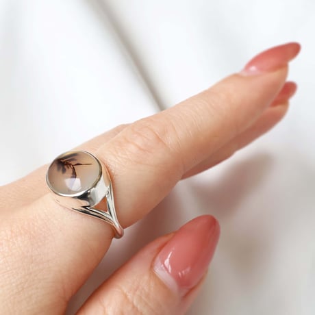 Picture Agate Ring #12