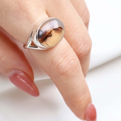 Picture Agate Ring #12