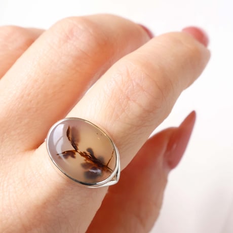 Picture Agate Ring #12
