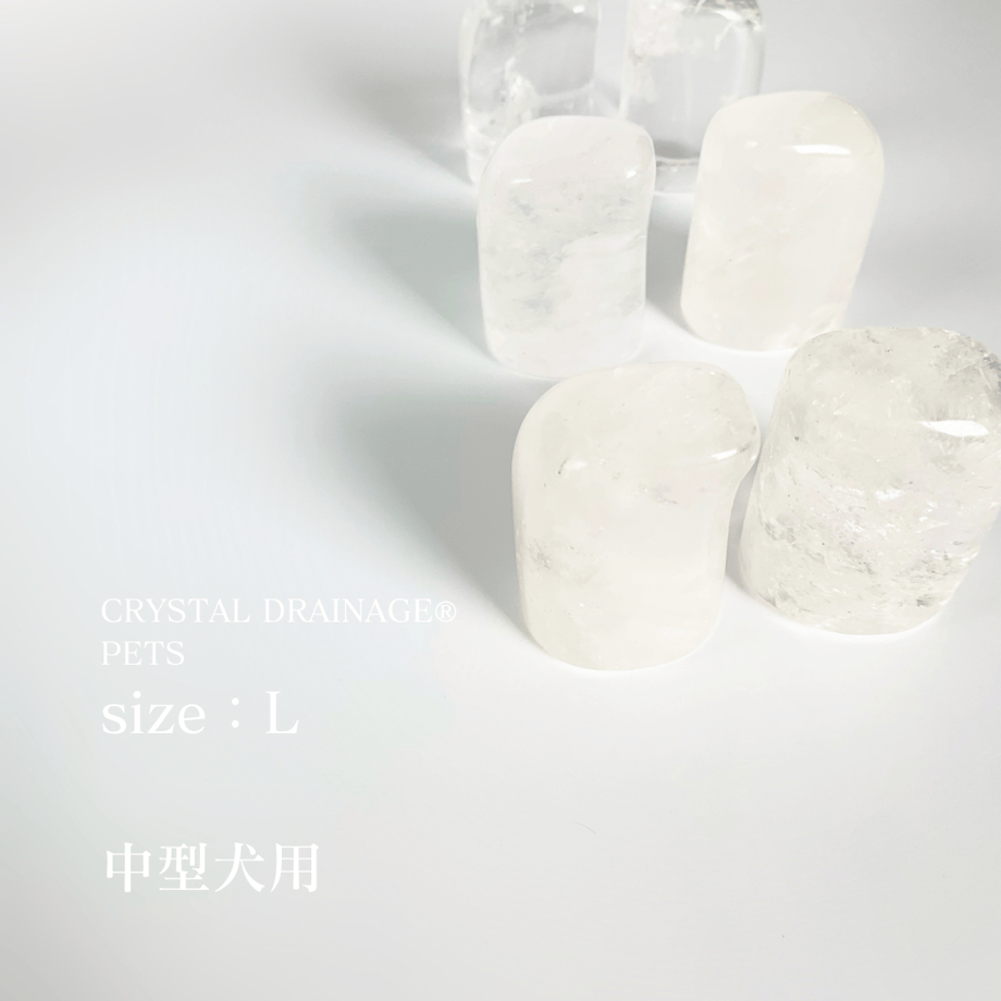 662f1f7cdba4370c9b51ace8