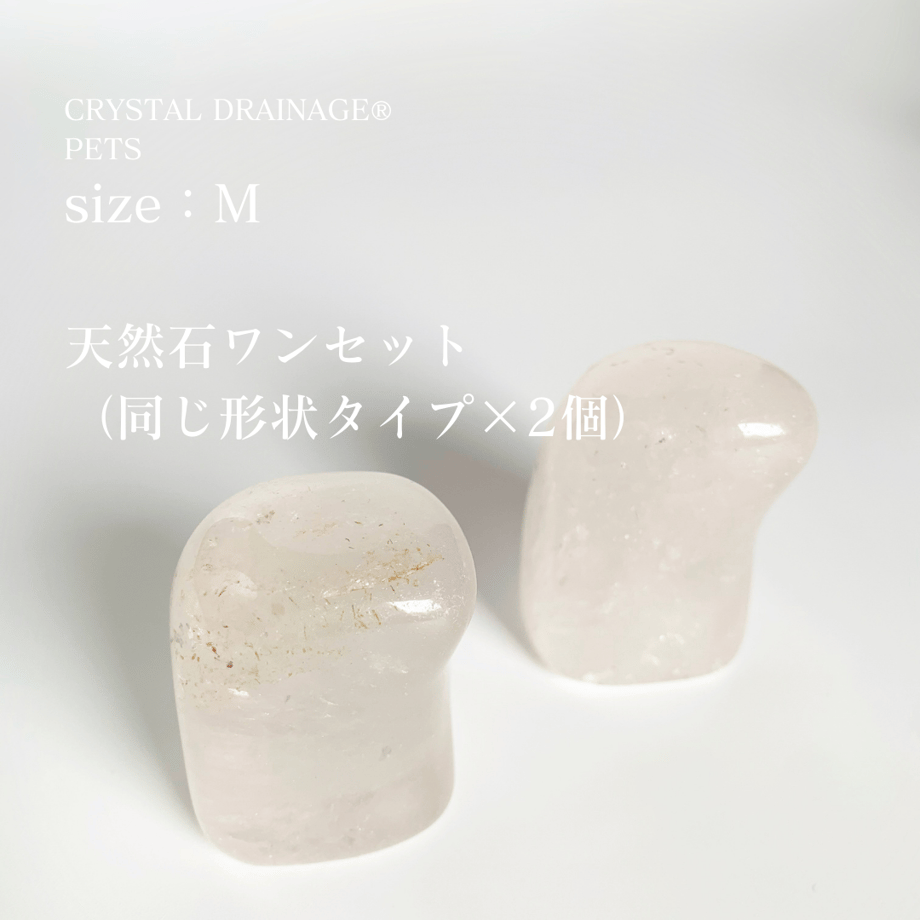 662f16d960a81b14484fa441