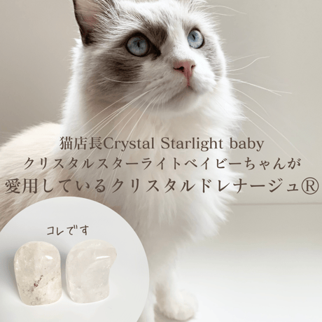ペット専用のクリスタルドレナージュ®︎Mサイズ数量限定！天然水晶