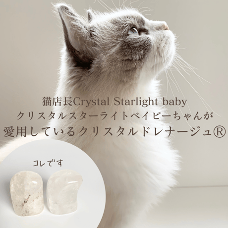 ペット専用のクリスタルドレナージュ®︎Sサイズ数量限定！天然水晶