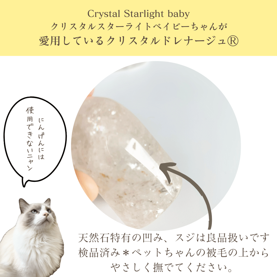 654219e9e126f805d1510f8f