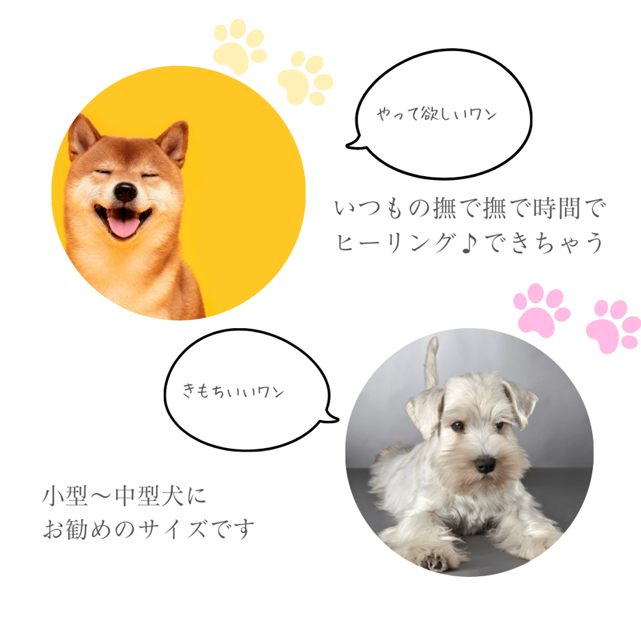 662f16d960a81b14484fa441