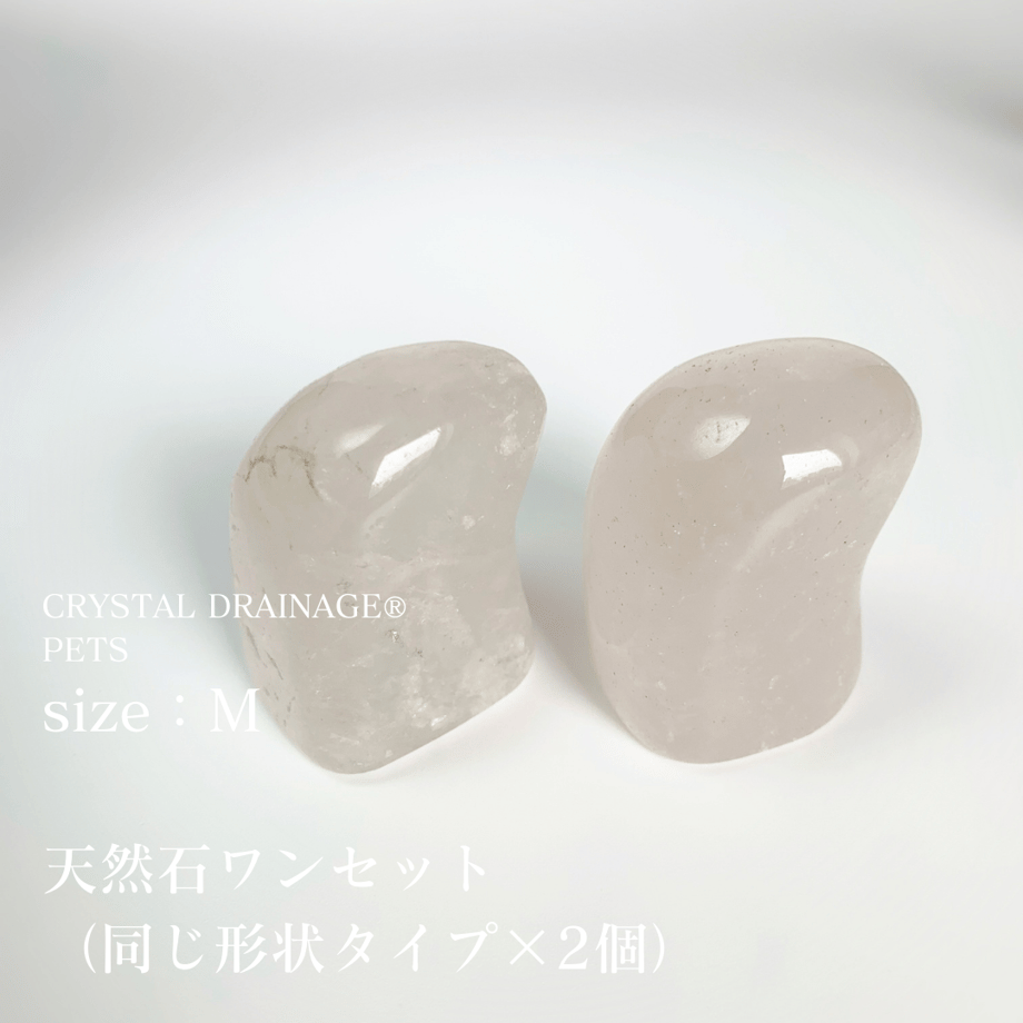 662f16d960a81b14484fa441