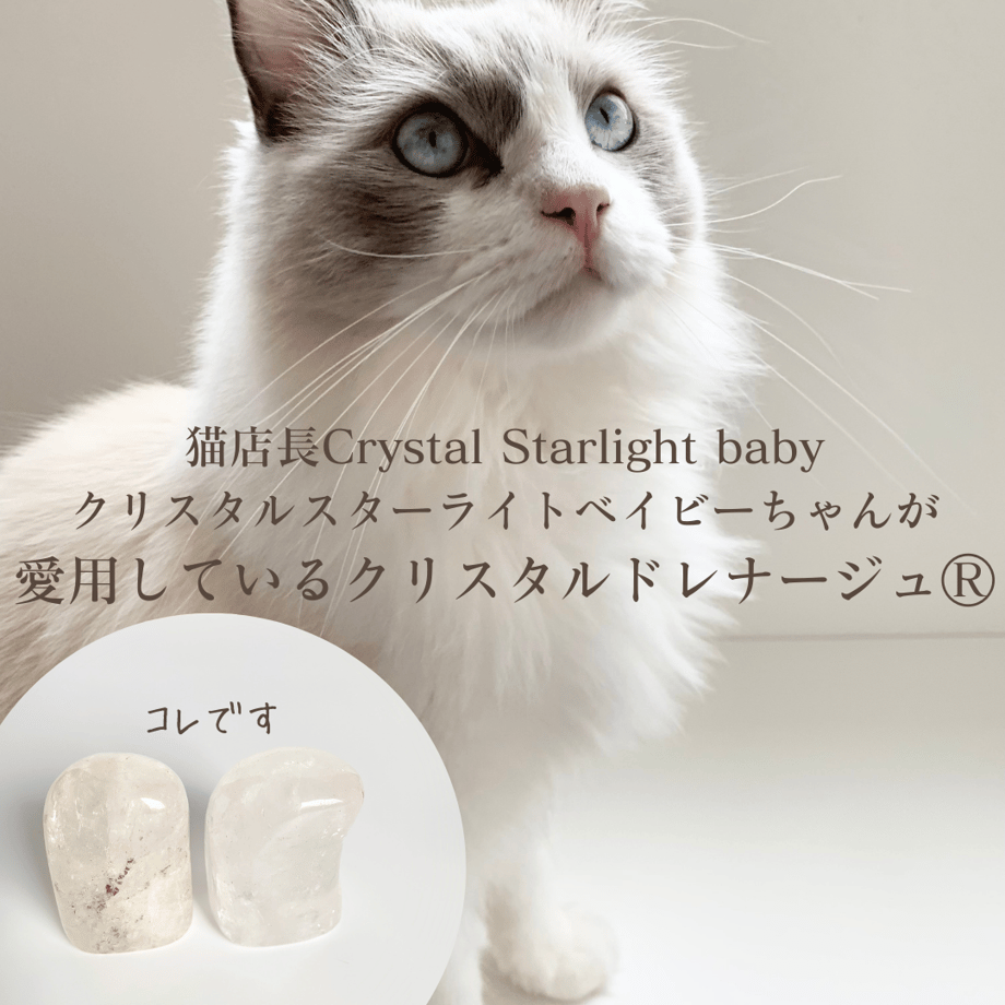 662f1f7cdba4370c9b51ace8